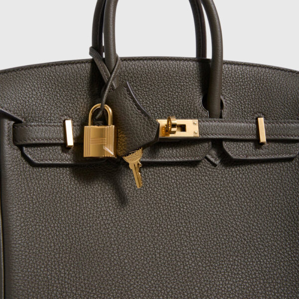 Hermès Birkin 25 Togo Eucalyptus Gold Hardware