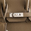 Hermès Birkin 25 Togo Toundra Palladium Hardware