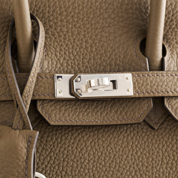 Hermès Birkin 25 Togo Toundra Palladium Hardware